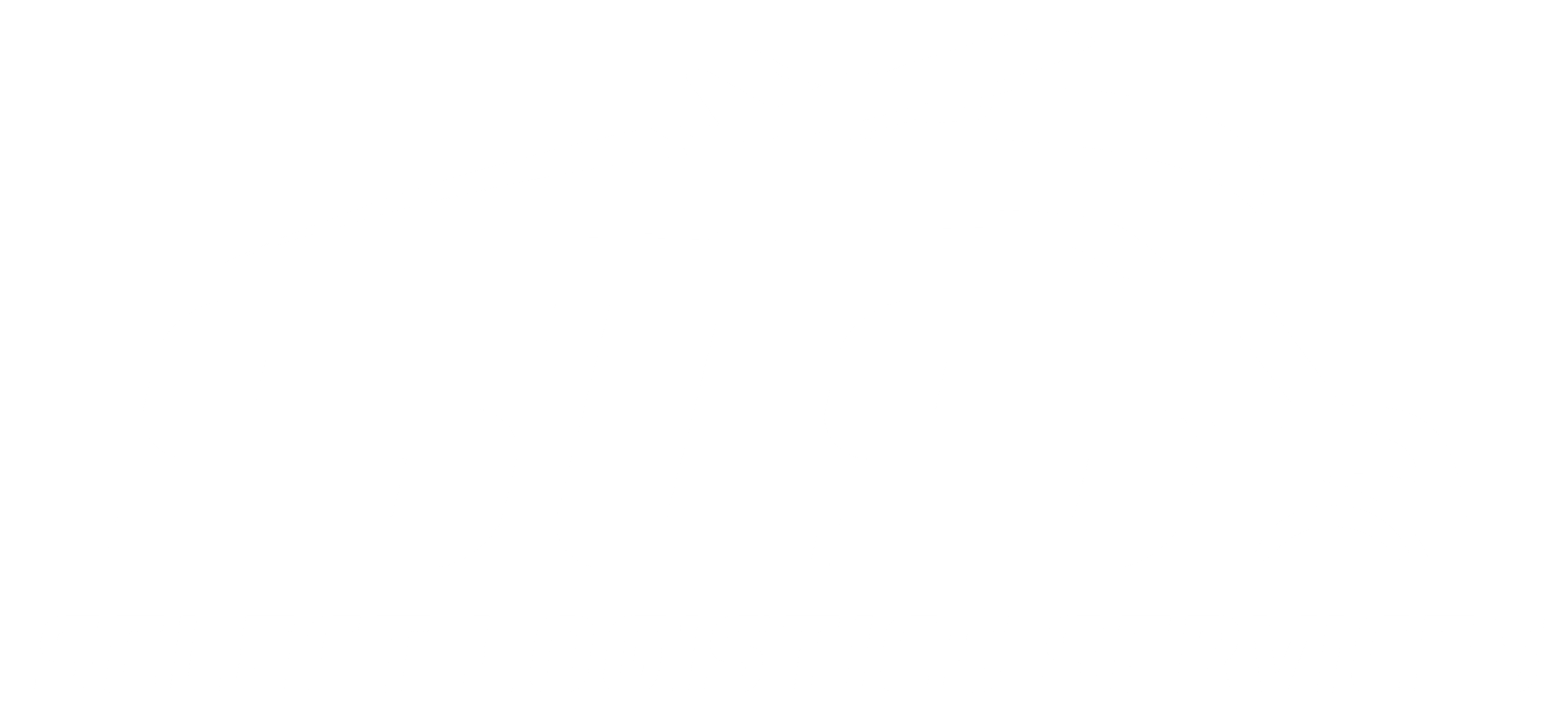 Select Logistics all-white logo for footer